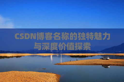 CSDN博客名称的独特魅力与深度价值探索